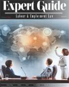 Expert Guide - Labour & Employment Law 2013 - Cover Image