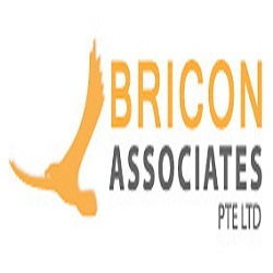 BriconAssociates Pte Ltd